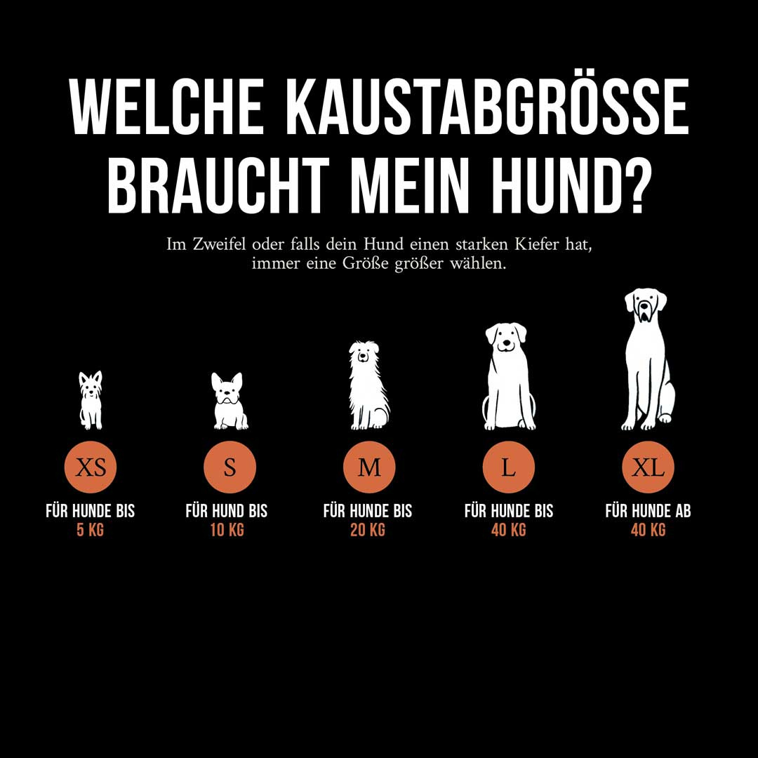 Kauwurzel aus Baumheide Größe