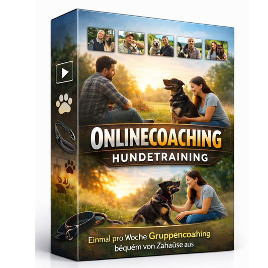 Onlinecoaching Hundetraining – individuelle Hilfe für echte Veränderungen (Gruppencoaching)